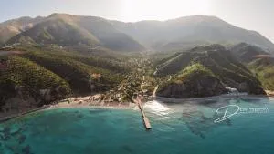 Tropikal Freskia Bunec - Piqeras