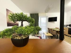 Cozy Bliss Studio in Sinaia w. Free parking