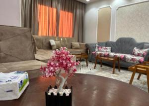 شقة مفروشة بالقاهرة مدينة المستقبل