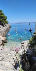 The Captains Nook Spiliska