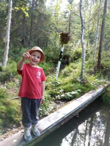 Kimppa-cabin Дом в лесу у озера