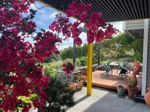 Under the Yellow Canopy - Diamond Harbour