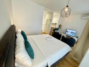 Green - stan na dan studio Novi Beograd, parking 5 evra dan