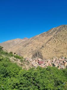 auberge gite de jeunesse les Cascades