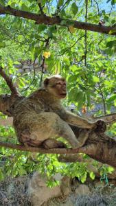 auberge gite de jeunesse les Cascades