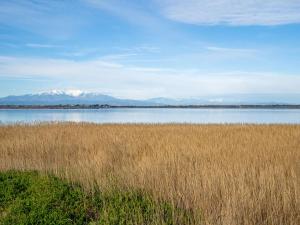 Appartements Apartment Les Marines de Port Canet by Interhome : photos des chambres