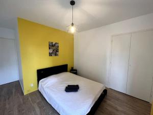 Appartements Appartement familial - Proche fac & Oncopole : Appartement