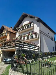 Guesthouse Tomasevic - Grab