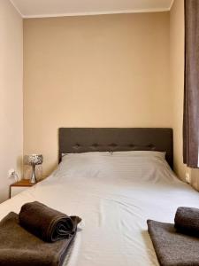 Stefan Suite Belgrade Center Apartment