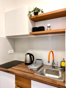 Stefan Suite Belgrade Center Apartment