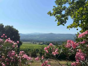 Maisons de vacances Proche Roussillon Luberon villa avec vue, piscine chauffee et climatisation : photos des chambres