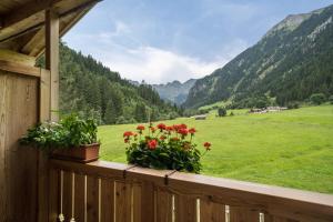 Ferienhaus Larch Soge Apt Helmuth