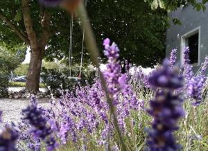 CosyPlace; close to beach, nature, train, grocery