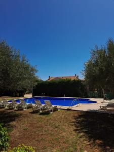 Apartment Dragica