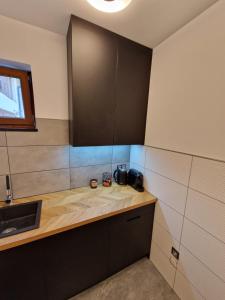 Apartament Cygański Las