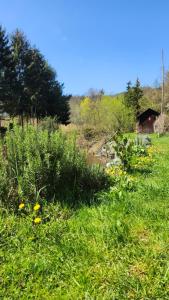 OFFGRID Haus am Angelteich