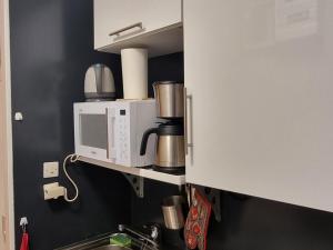 Studio fonctionnel au pied des pistes, animaux admis - FR-1-181-2599