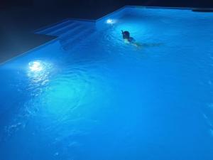 Kuća za odmor Mira blizu Biograda na moru