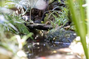 Il Giardino di Chiara img36