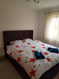 Apartmani Popovic Lux