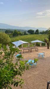 Donna Vittori - Borgo Agricolo