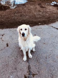 Chalet Bergbauernhof