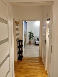 Apartament 51 z klimatyzacją