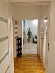 Apartament 51