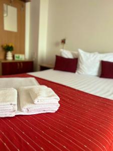Pensiunea Elena - Bed and breakfasts, Temešvár