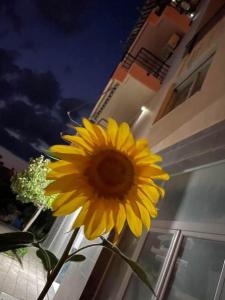 M&R Boutique Apartment in Orikum