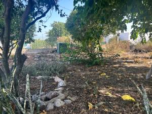 Apartamento Ritmo do Mar