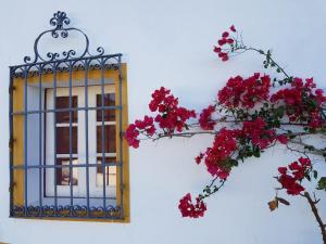 Quinta de Evoramonte