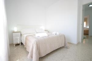 135 Livingtarifa Luna