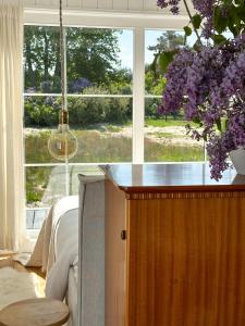 Ragnar Glamp Pitrags Lux