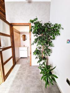 GraVelo - Apartament Jacuzzi