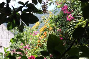 Casa Quetzalli, La Recolección