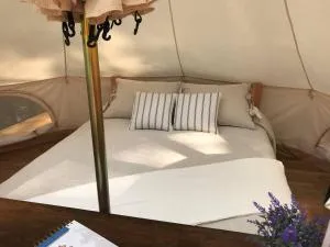 Bee Glamping Farm - Fayette Heights