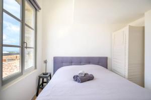 Appartements Au coeur de St Martin : La Cible : photos des chambres