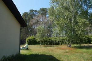 Maisons de vacances Authentic country house - Vagues de Foret : photos des chambres