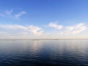 Cosy Terrace House - design, comfort, micro-pool, top location in Olhão