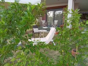 Alki's stories (Ιστορίες της Άλκης) - Káto Karvélion