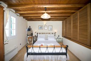 Hibiscus Rosa Mykonos