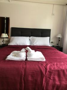 Kings of Buenos Aires