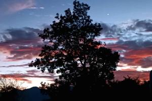 la casita de los viajeros