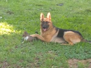 La Cachuera, Cabaña con Pileta, 200 M del Rio