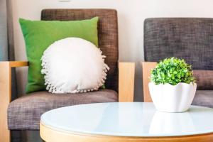 Metropolis Mirage - A Poolside CBD Studio