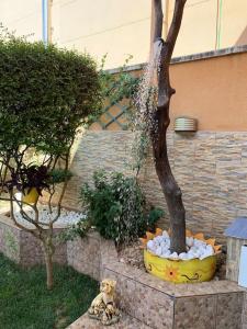 SUITE LUJOSO CON CHIMENEA