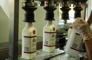 Bodalla Dairy Shed Guest Rooms