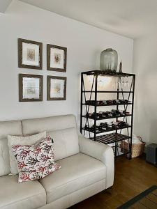 Luxury Apartment