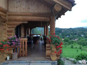 Cabana Adierea Vantului Bran